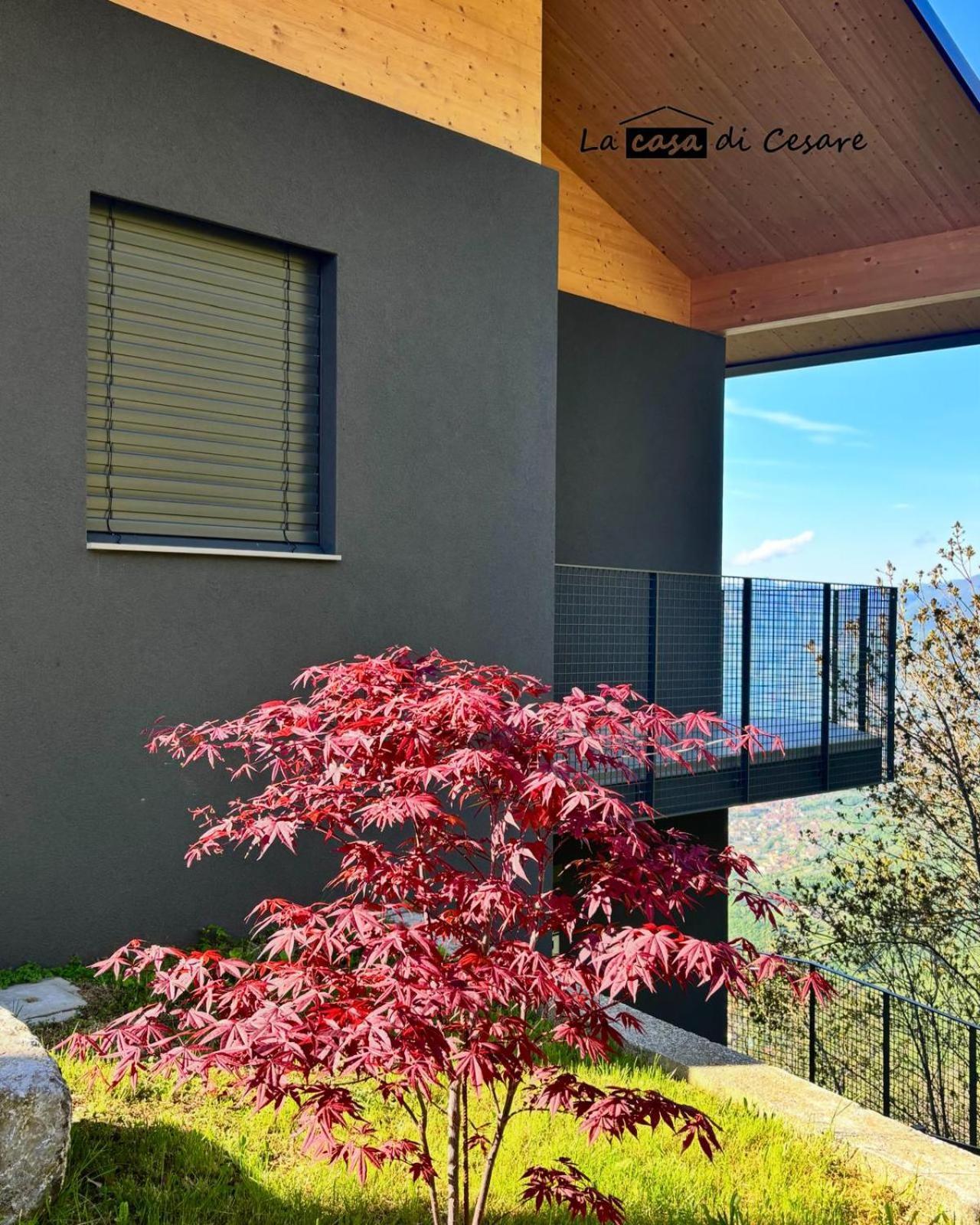 La Casa Di Cesare Rogno Quarto foto